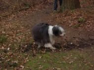 In the woods